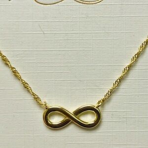 14 kGold Plated over sterling silver Infinity Necklace